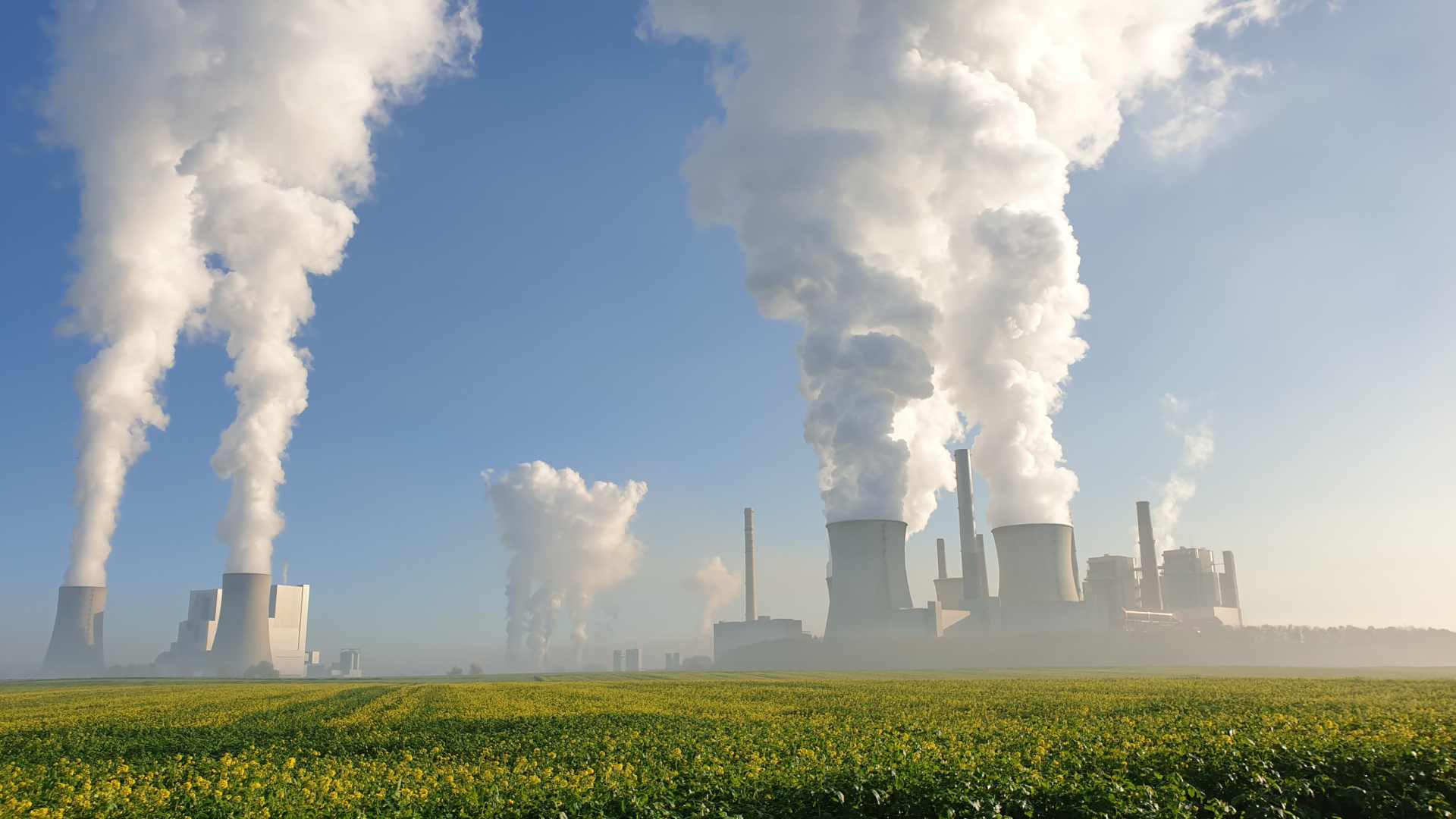 impacto ecológico